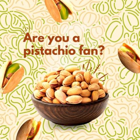 Wholesome, Irresistible Snacking: Premium Nuts & Treats from Nuts Oasis